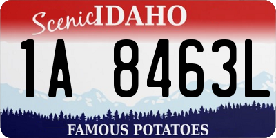 ID license plate 1A8463L