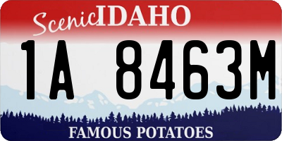 ID license plate 1A8463M