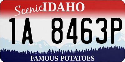 ID license plate 1A8463P