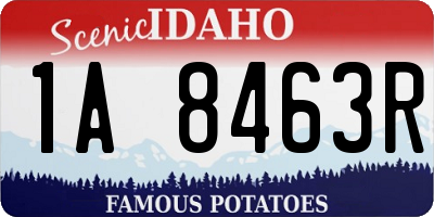 ID license plate 1A8463R