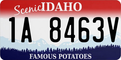 ID license plate 1A8463V
