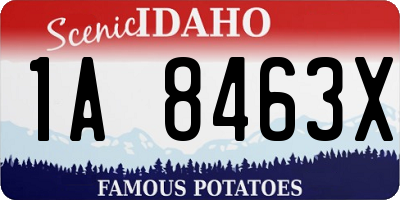 ID license plate 1A8463X