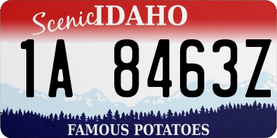 ID license plate 1A8463Z