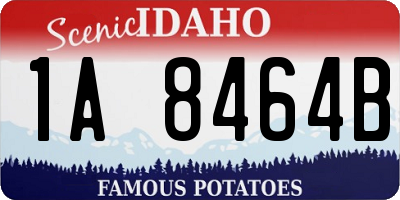ID license plate 1A8464B