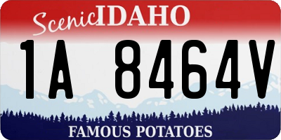 ID license plate 1A8464V