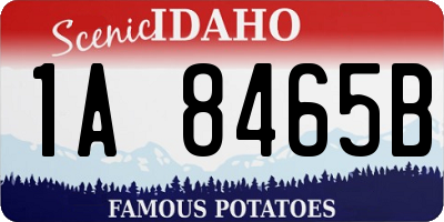 ID license plate 1A8465B