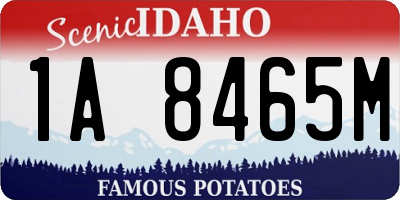 ID license plate 1A8465M
