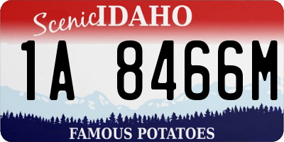 ID license plate 1A8466M