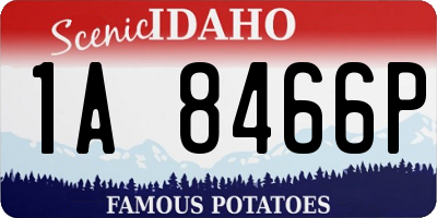 ID license plate 1A8466P