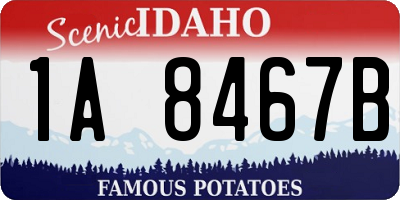 ID license plate 1A8467B