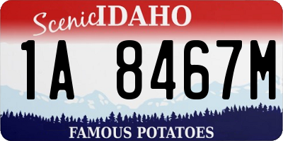 ID license plate 1A8467M