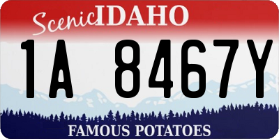 ID license plate 1A8467Y