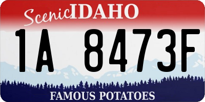 ID license plate 1A8473F