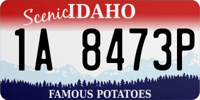 ID license plate 1A8473P