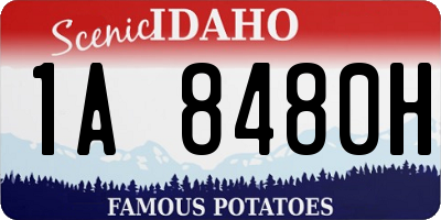 ID license plate 1A8480H