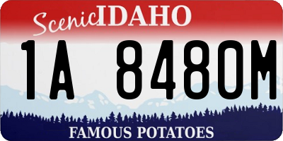 ID license plate 1A8480M
