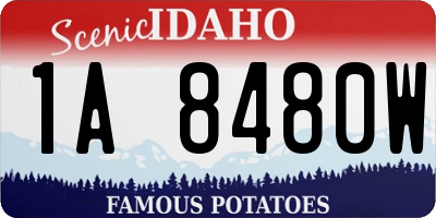 ID license plate 1A8480W
