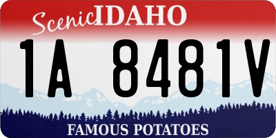 ID license plate 1A8481V