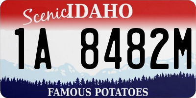ID license plate 1A8482M
