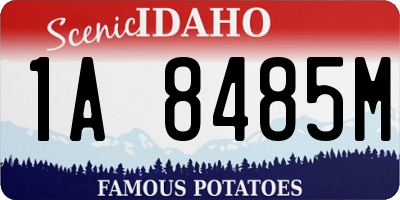 ID license plate 1A8485M