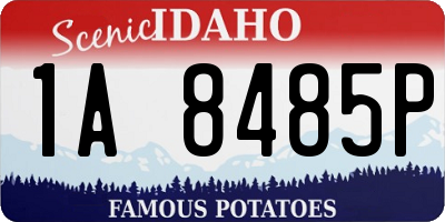 ID license plate 1A8485P