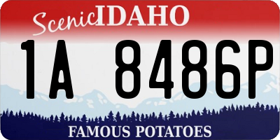 ID license plate 1A8486P