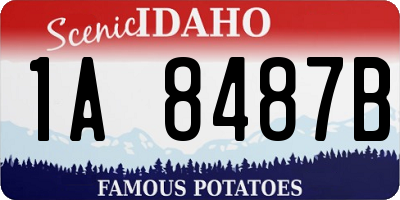 ID license plate 1A8487B