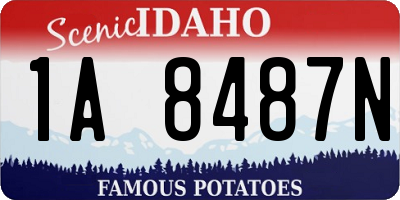 ID license plate 1A8487N