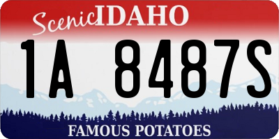 ID license plate 1A8487S