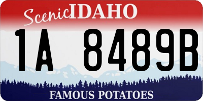 ID license plate 1A8489B