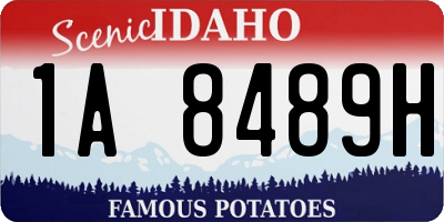 ID license plate 1A8489H