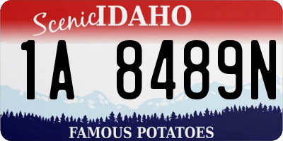 ID license plate 1A8489N
