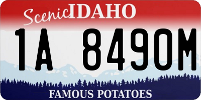 ID license plate 1A8490M