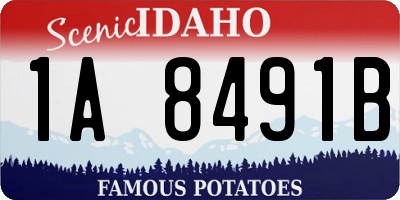 ID license plate 1A8491B