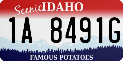 ID license plate 1A8491G