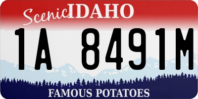 ID license plate 1A8491M