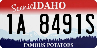 ID license plate 1A8491S