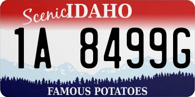 ID license plate 1A8499G