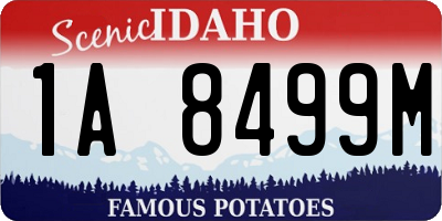 ID license plate 1A8499M