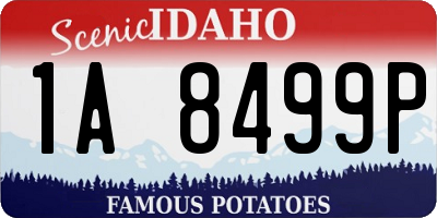ID license plate 1A8499P