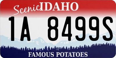 ID license plate 1A8499S