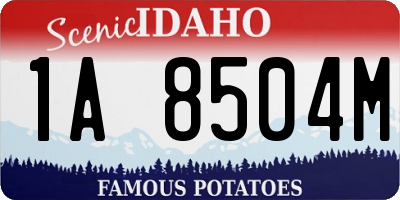 ID license plate 1A8504M