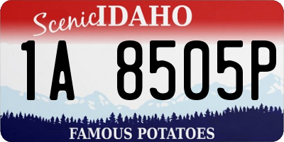 ID license plate 1A8505P