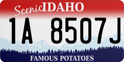 ID license plate 1A8507J