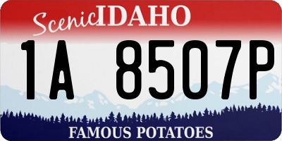 ID license plate 1A8507P
