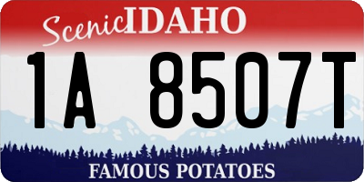 ID license plate 1A8507T