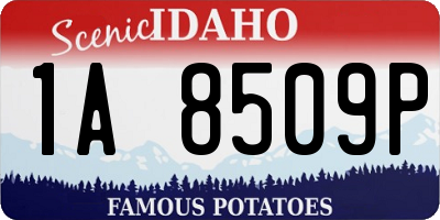 ID license plate 1A8509P