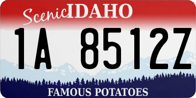 ID license plate 1A8512Z