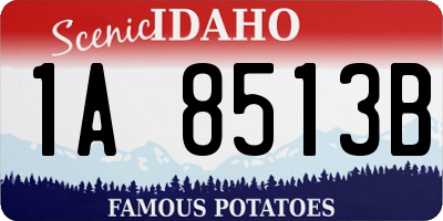 ID license plate 1A8513B