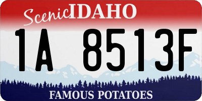 ID license plate 1A8513F